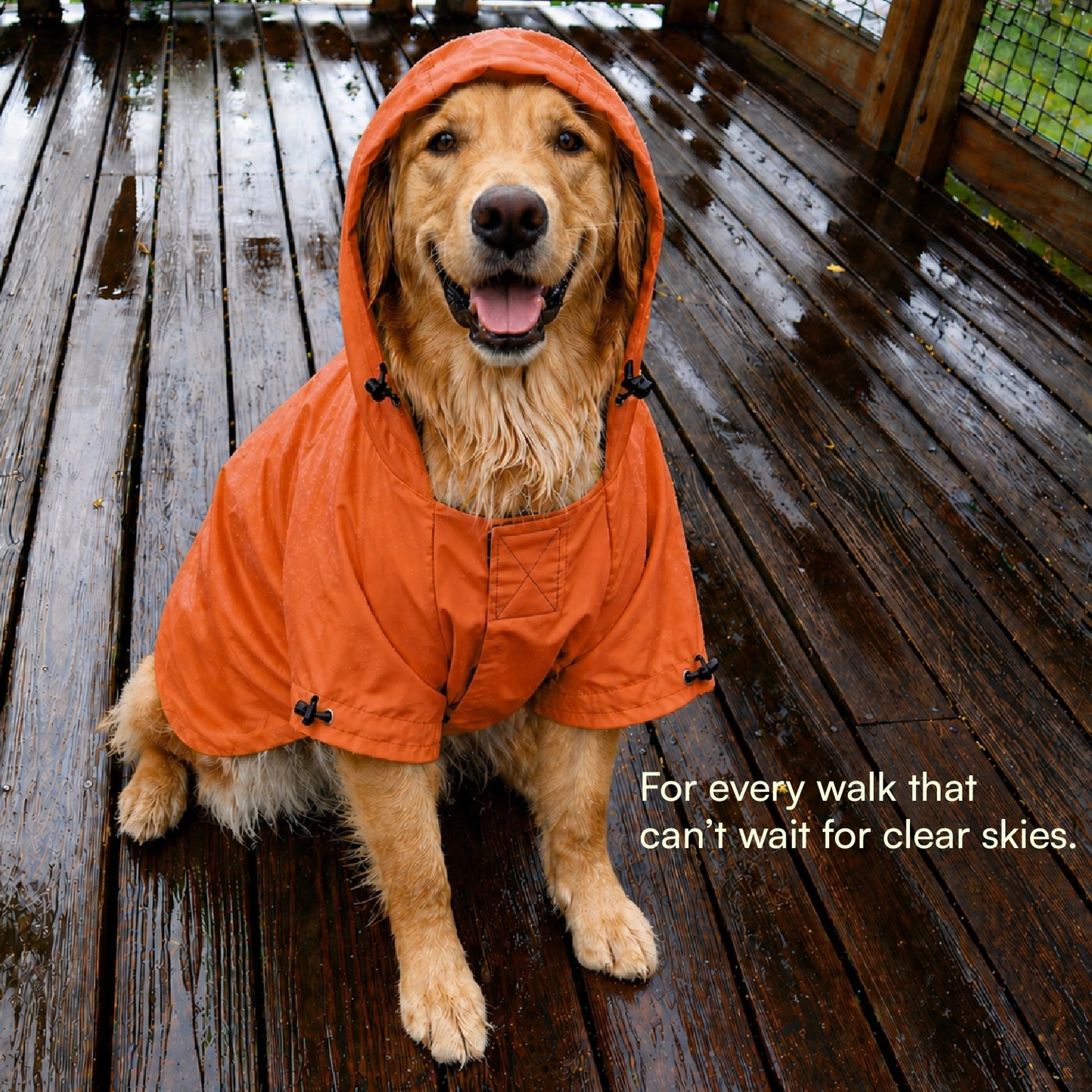 Rover Raincoat – Waterproof Dog Raincoat with Hood, Reflective Strip, Leash Opening & 3-Point Velcro for Monsoon Walks