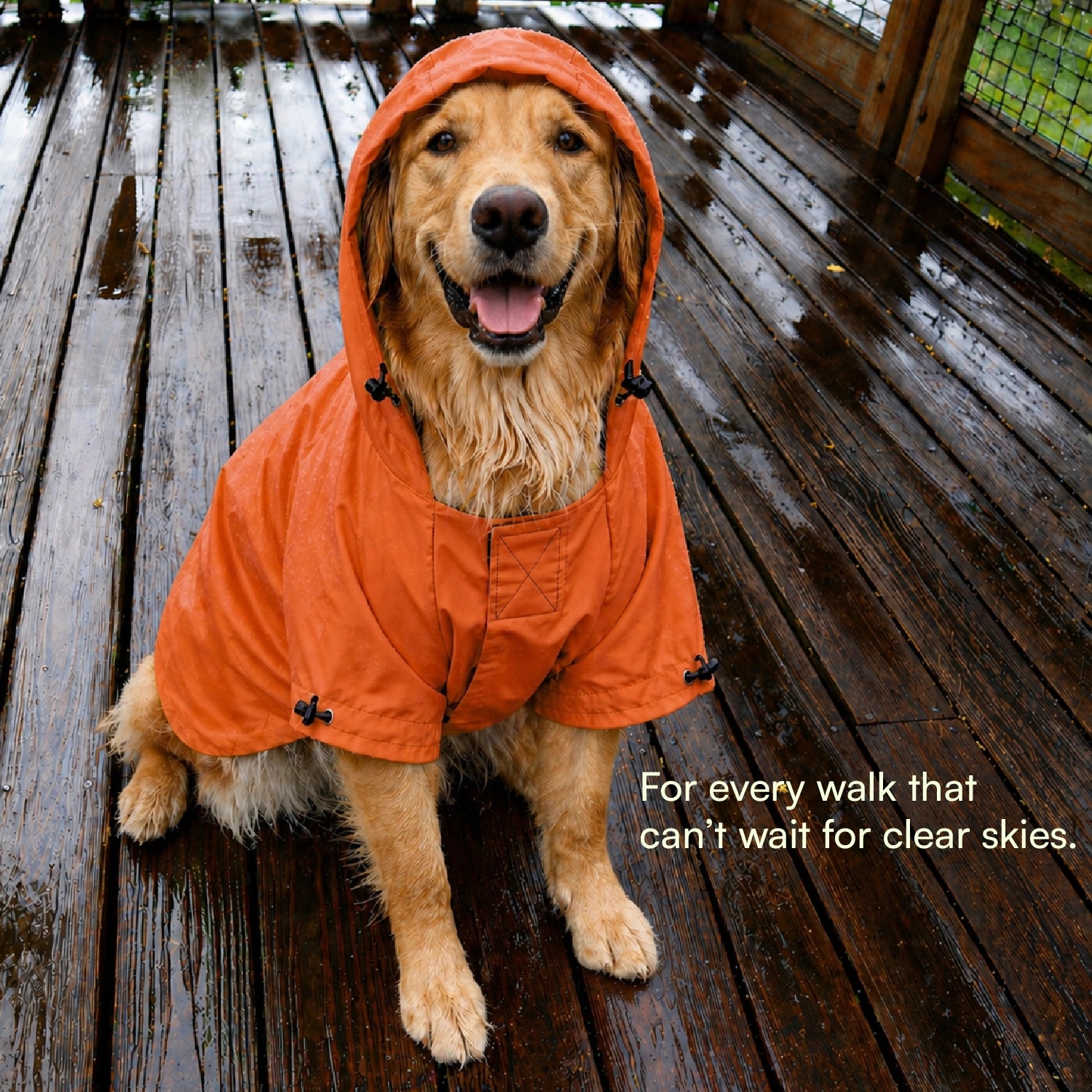 Rover Raincoat – Waterproof Dog Raincoat with Hood, Reflective Strip, Leash Opening & 3-Point Velcro for Monsoon Walks