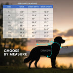 Rover Raincoat – Waterproof Dog Raincoat with Hood, Reflective Strip, Leash Opening & 3-Point Velcro for Monsoon Walks