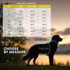 Rover Raincoat – Waterproof Dog Raincoat with Hood, Reflective Strip, Leash Opening & 3-Point Velcro for Monsoon Walks