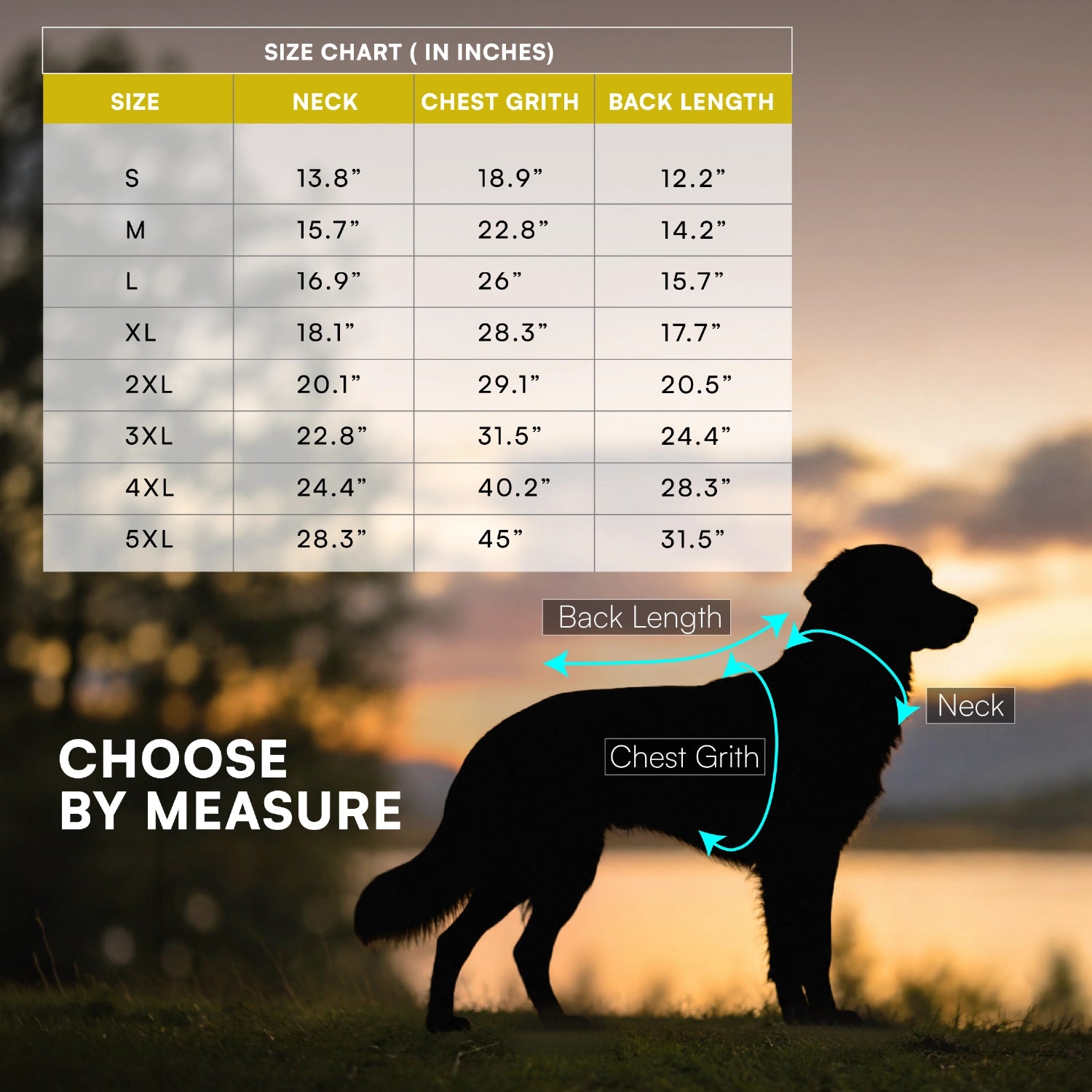 Rover Raincoat – Waterproof Dog Raincoat with Hood, Reflective Strip, Leash Opening & 3-Point Velcro for Monsoon Walks