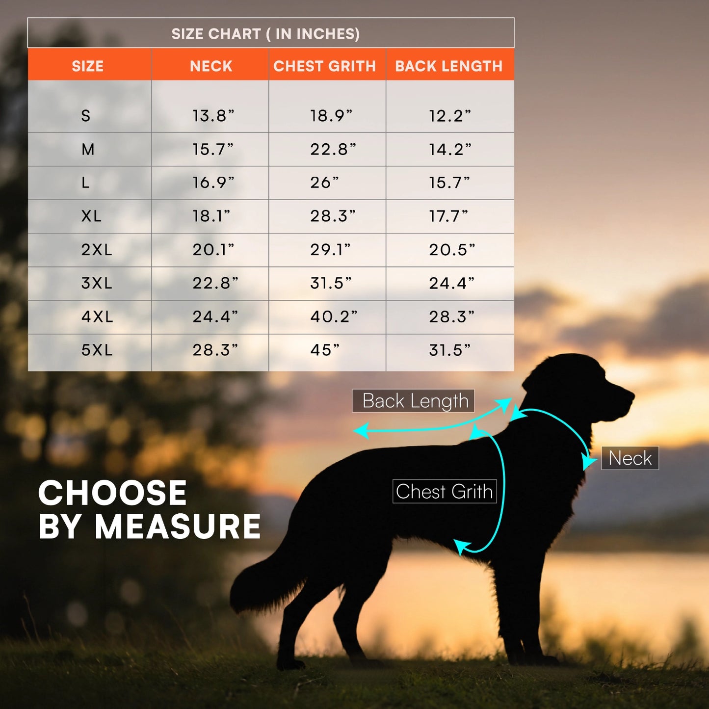 Rover Raincoat – Waterproof Dog Raincoat with Hood, Reflective Strip, Leash Opening & 3-Point Velcro for Monsoon Walks