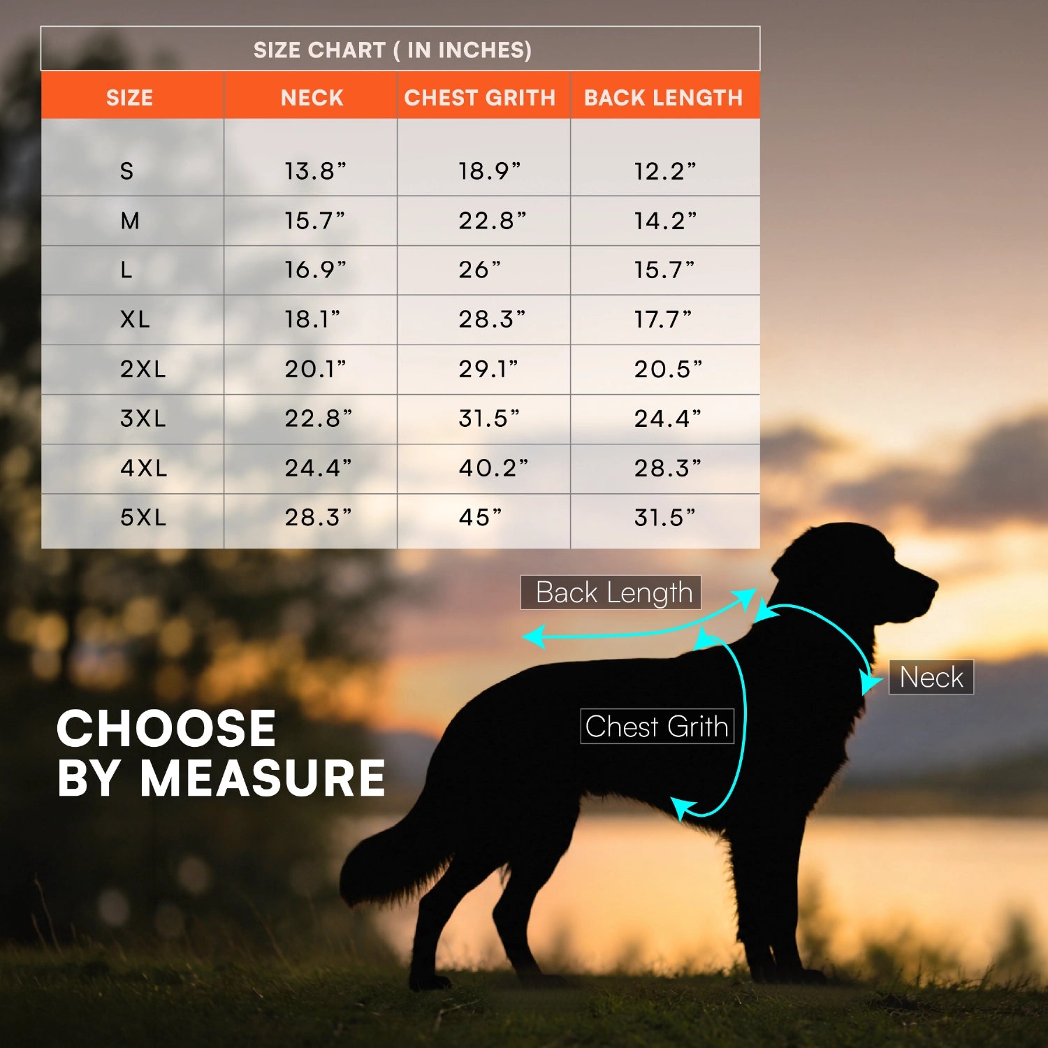 Rover Raincoat – Waterproof Dog Raincoat with Hood, Reflective Strip, Leash Opening & 3-Point Velcro for Monsoon Walks