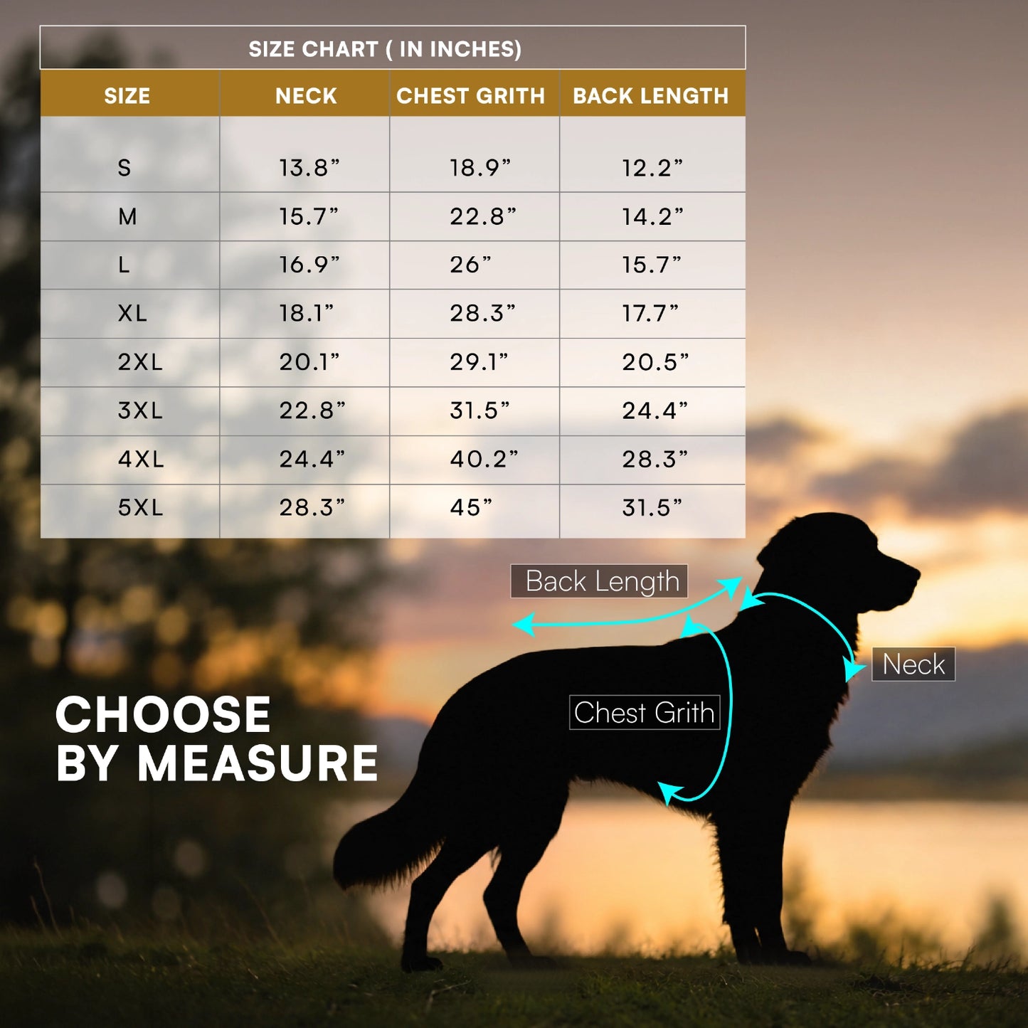 Rover Raincoat – Waterproof Dog Raincoat with Hood, Reflective Strip, Leash Opening & 3-Point Velcro for Monsoon Walks