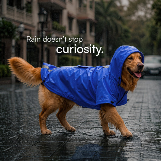 Rover Raincoat – Waterproof Dog Raincoat with Hood, Reflective Strip, Leash Opening & 3-Point Velcro for Monsoon Walks