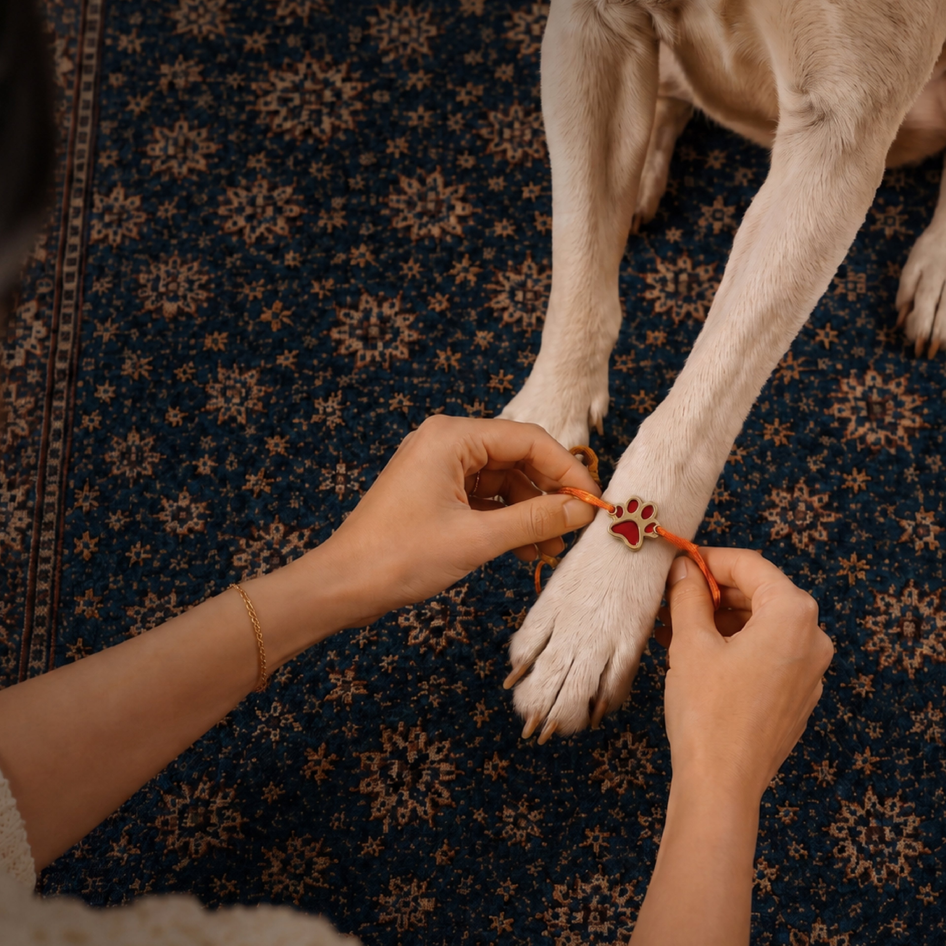 Bandhan Rakhi