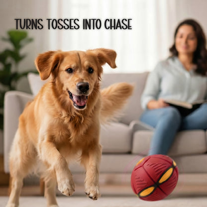 FetchNova UFO Ball | Bounce-Spin Toy | Smart Play for Active Dogs