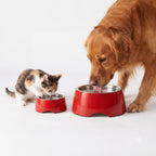 CherryDine Bowl