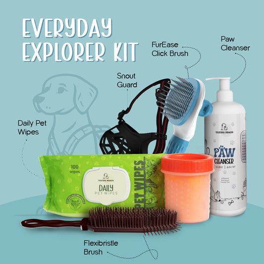 Everyday Explorer Kit