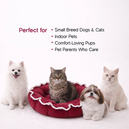 Roselyn Bed – 2-in-1 Convertible Lounge & Bed for Small Dogs & Cats