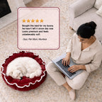 Roselyn Bed – 2-in-1 Convertible Lounge & Bed for Small Dogs & Cats