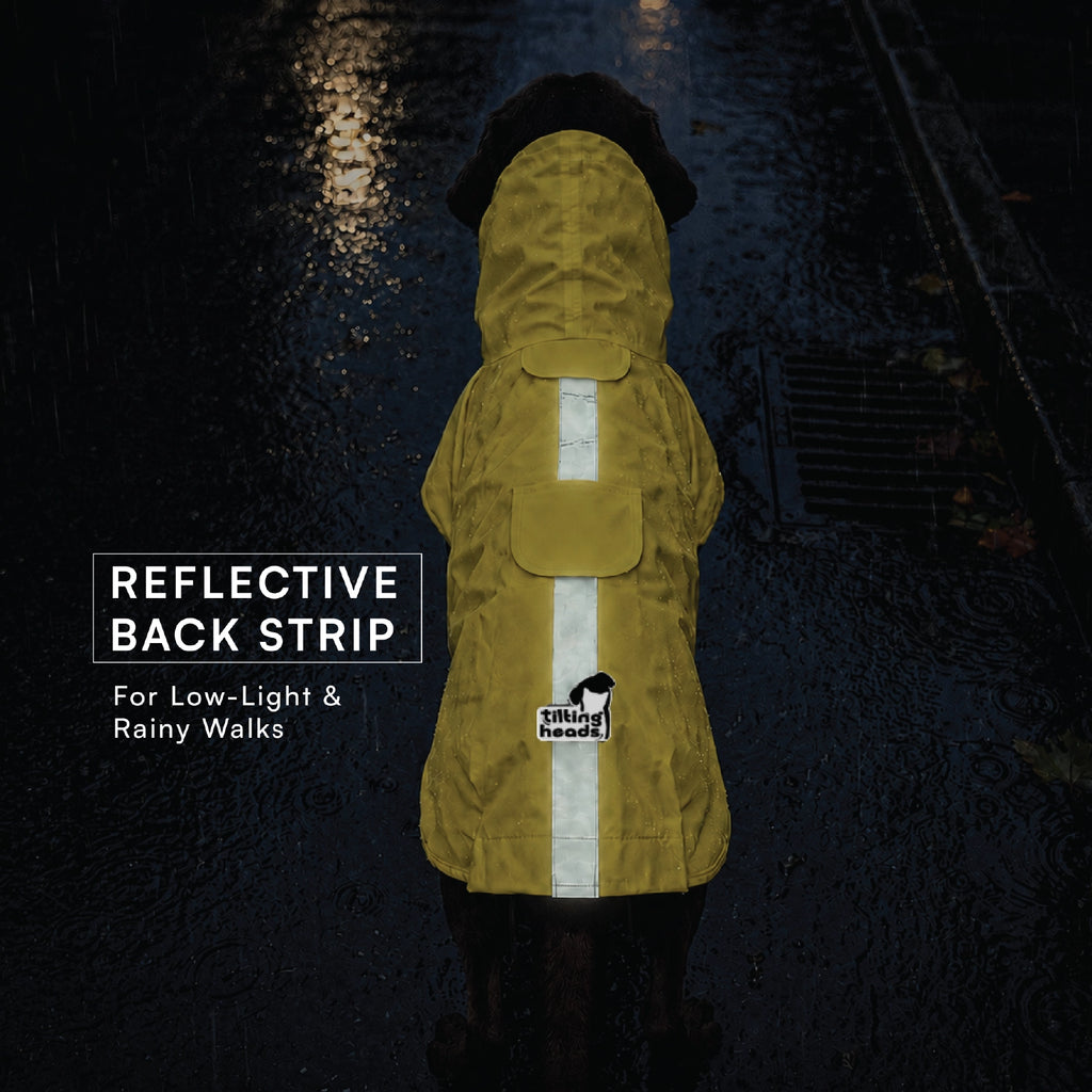 Rover Raincoat – Waterproof Dog Raincoat with Hood, Reflective Strip, Leash Opening & 3-Point Velcro for Monsoon Walks
