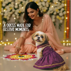 RoyalGlow Lehenga | Festive Outfit for Pets - Tilting Heads