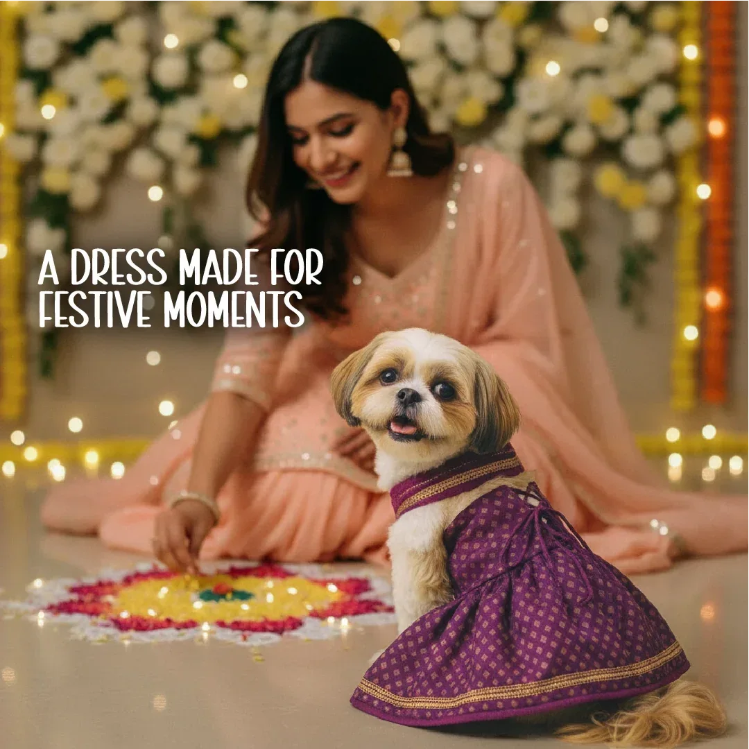 RoyalGlow Lehenga | Festive Outfit for Pets - Tilting Heads