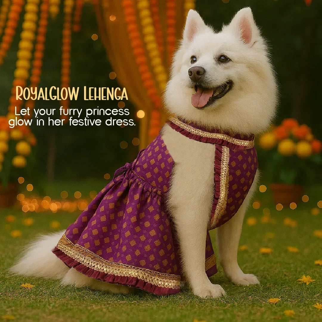 RoyalGlow Lehenga | Festive Outfit for Pets - Tilting Heads