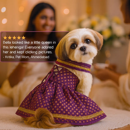 RoyalGlow Lehenga | Festive Outfit for Pets