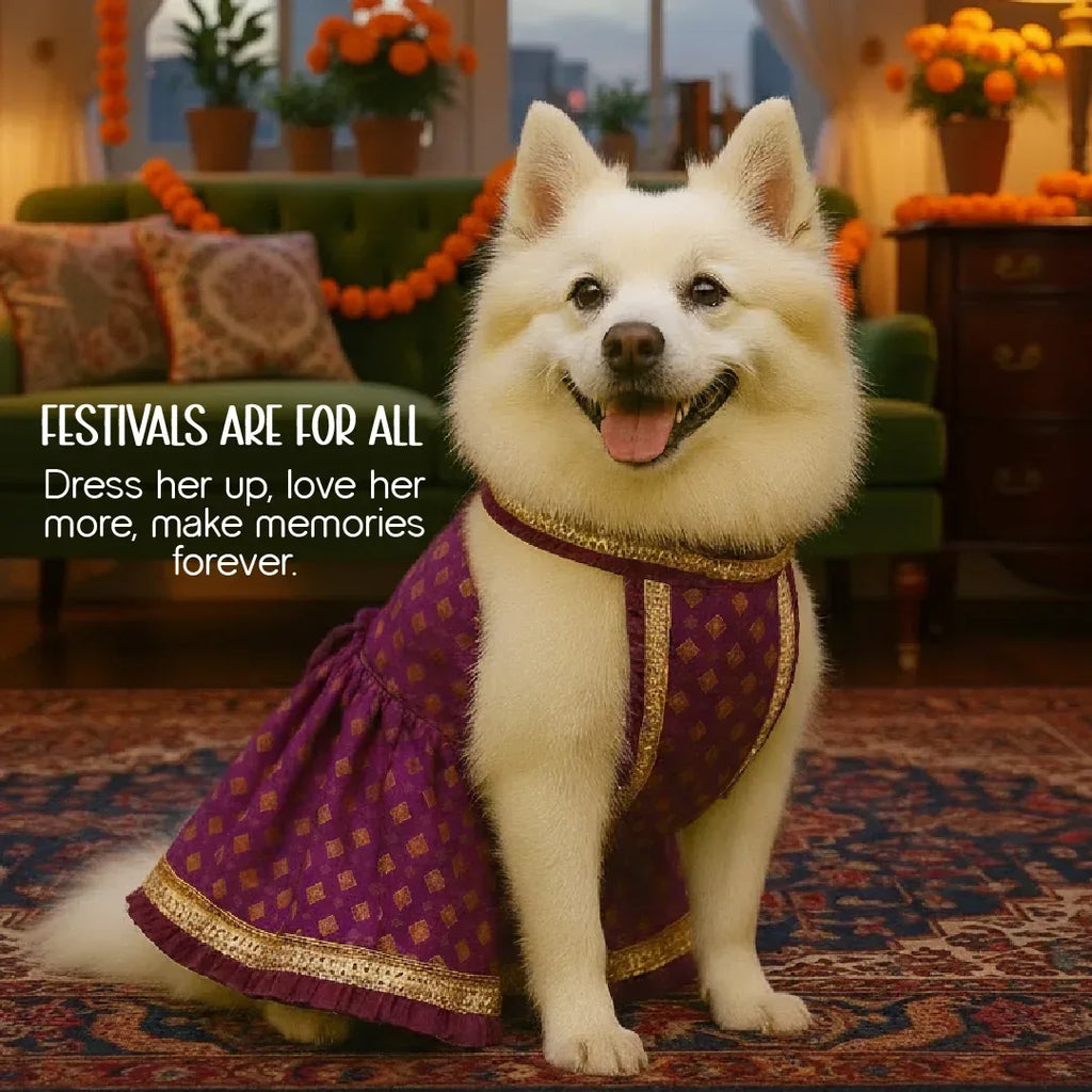 RoyalGlow Lehenga | Festive Outfit for Pets - Tilting Heads