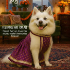 RoyalGlow Lehenga | Festive Outfit for Pets - Tilting Heads