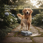 Splash Spring Fountain – Paw-Activated Outdoor Dog Water Fountain | Step-On Dog Water Dispenser with Hose Connection for Yard & Garden