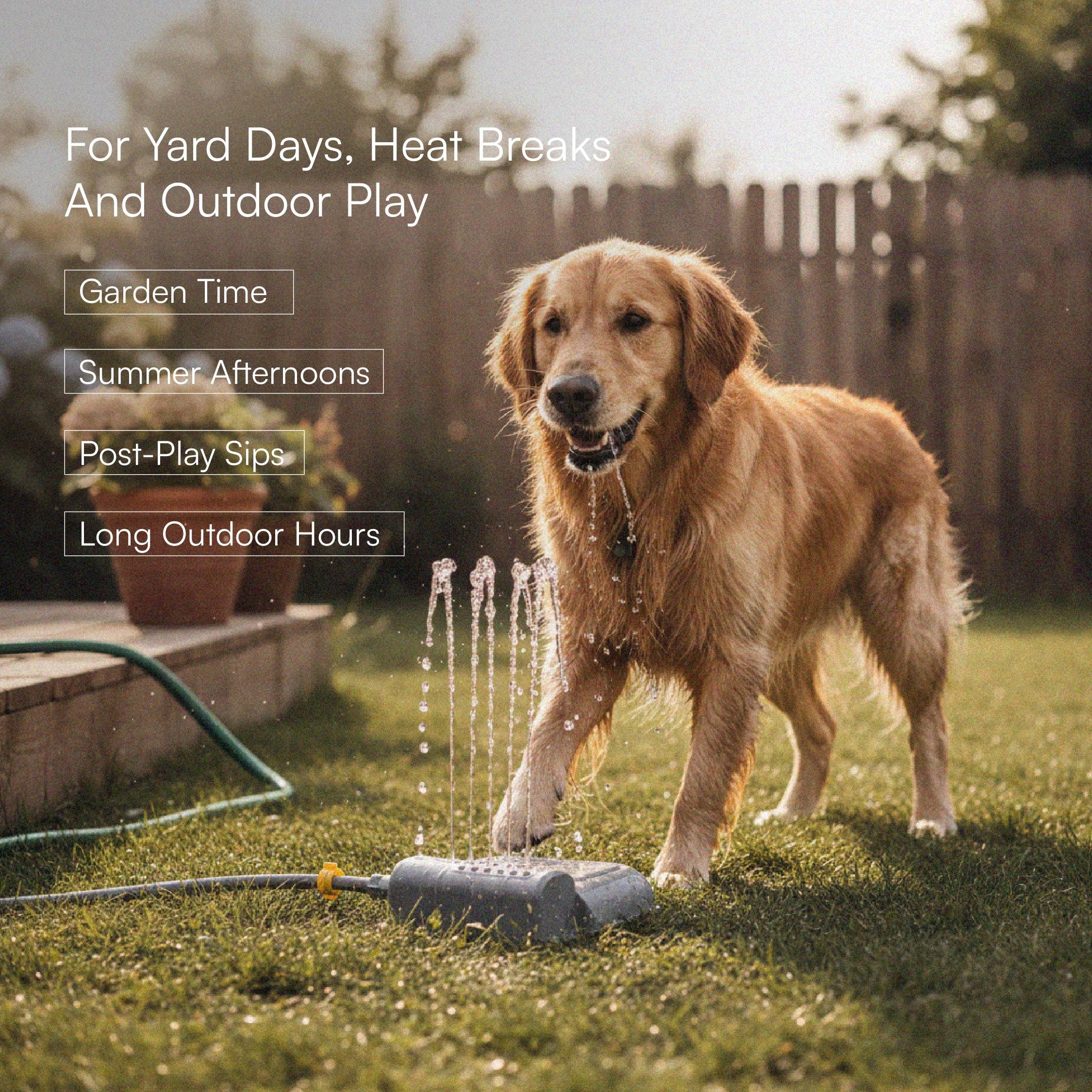 Splash Spring Fountain – Paw-Activated Outdoor Dog Water Fountain | Step-On Dog Water Dispenser with Hose Connection for Yard & Garden