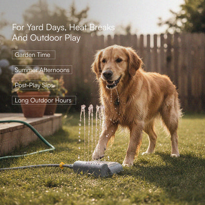 Splash Spring Fountain – Paw-Activated Outdoor Dog Water Fountain | Step-On Dog Water Dispenser with Hose Connection for Yard & Garden