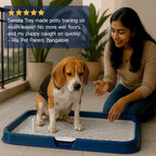 Sanora Tray – Hygienic Training Tray for Puppies - Tilting Heads