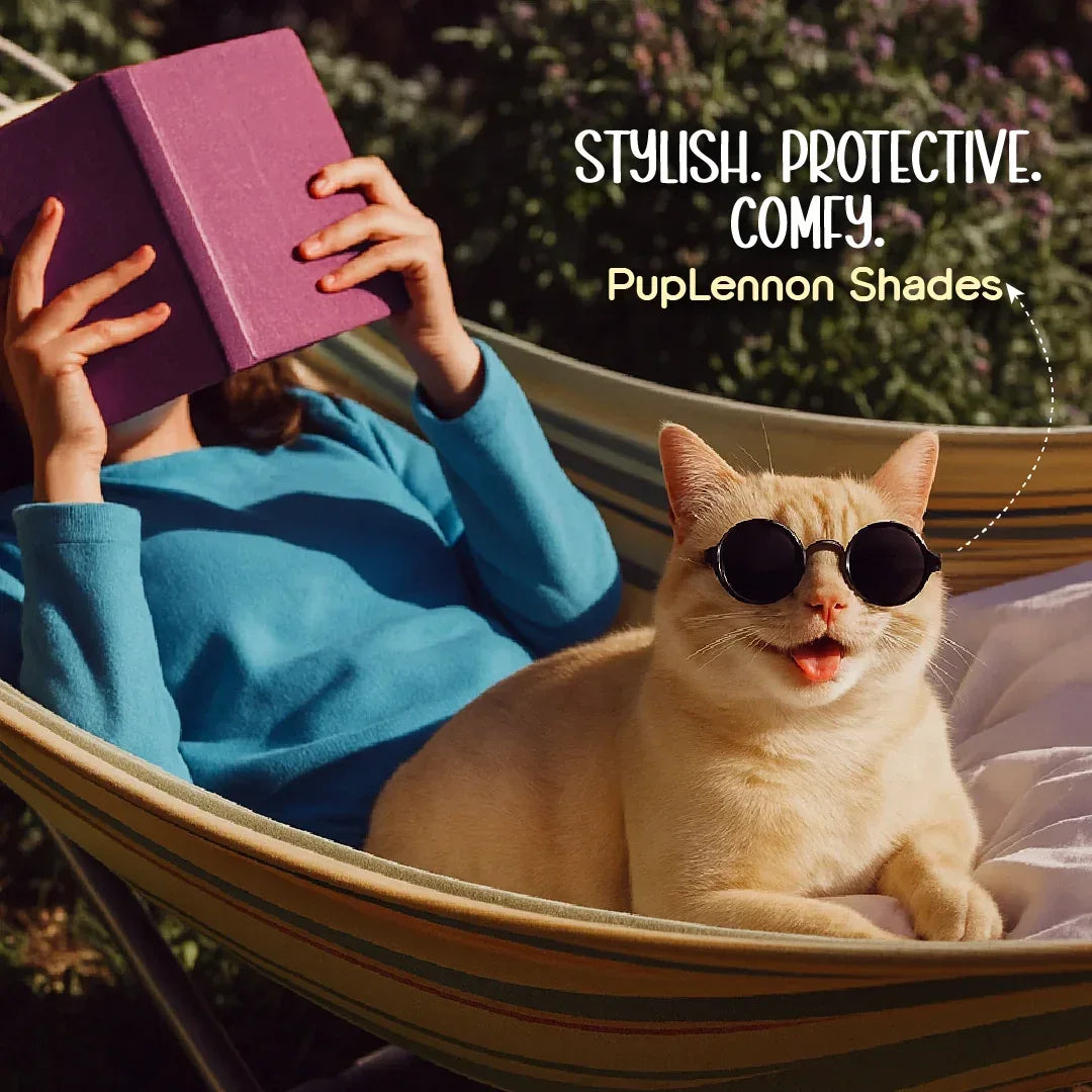 PupLennon Shades for Pets – Stylish UV Protection Sunglasses - Tilting Heads