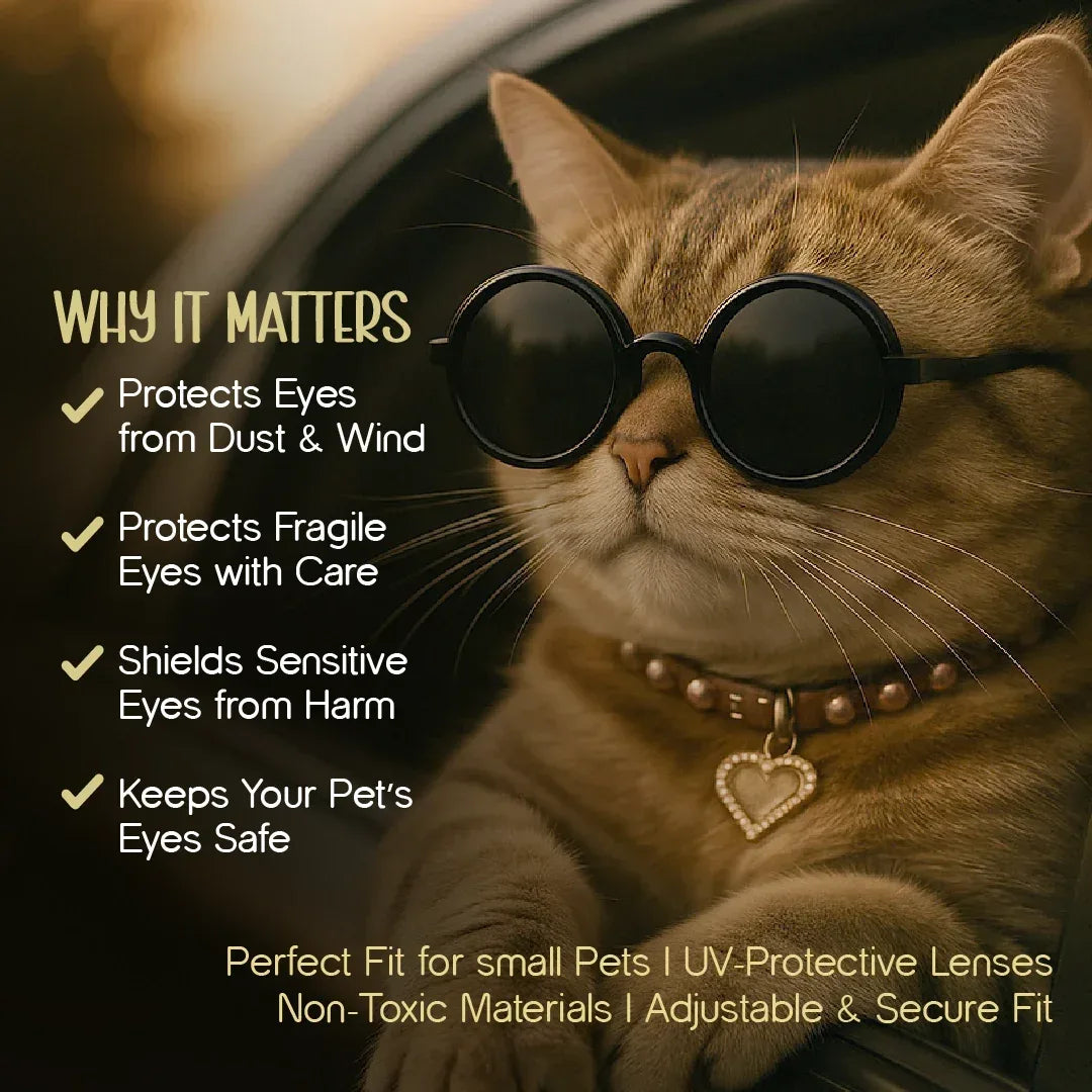 PupLennon Shades for Pets – Stylish UV Protection Sunglasses - Tilting Heads