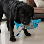 SharkBite Toy