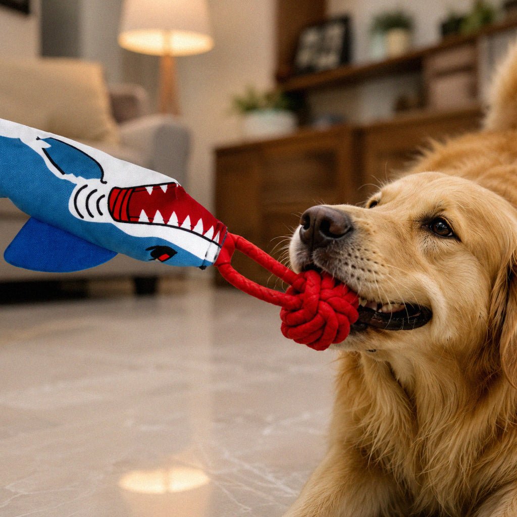 SharkTug Toy