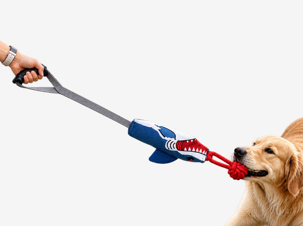 SharkTug Toy
