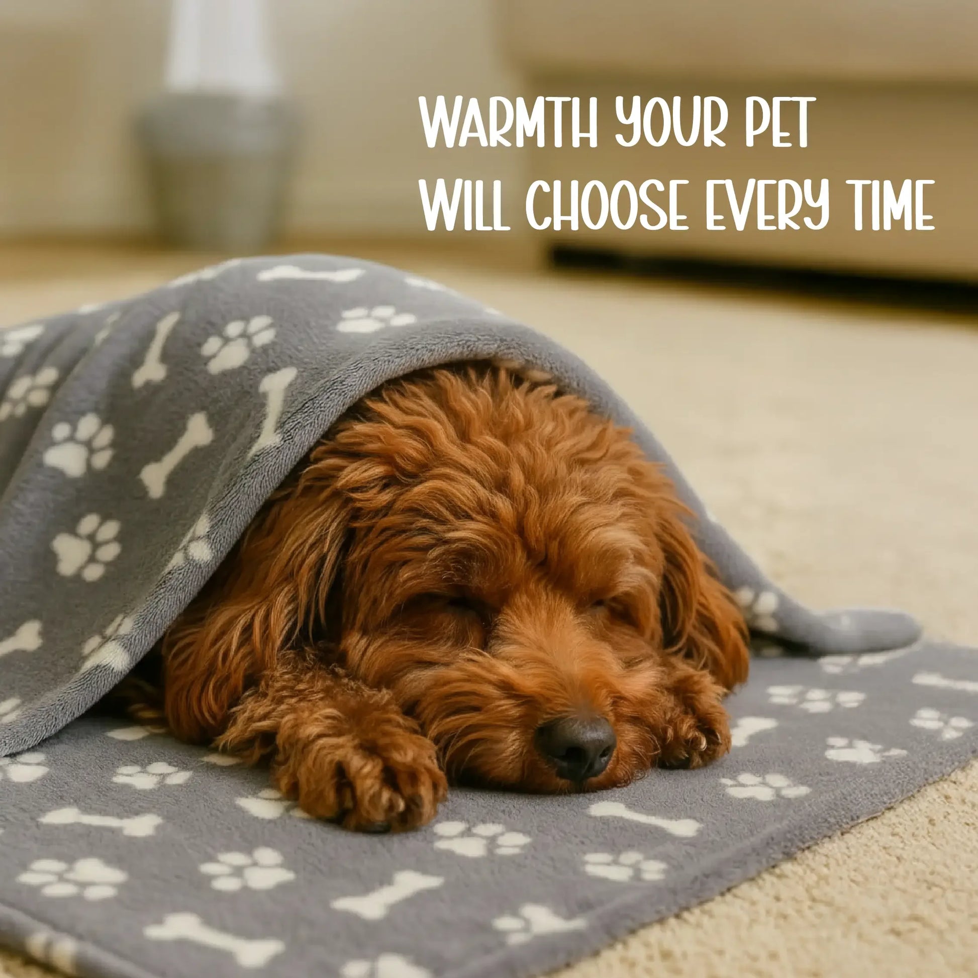 Sherpa Blanket | Winter-Ready Softness | Keeps Pets Warm & Calm - Tilting Heads