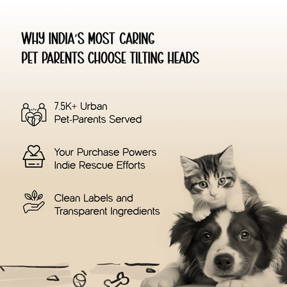 Sherpa Blanket | Winter-Ready Softness | Keeps Pets Warm & Calm - Tilting Heads