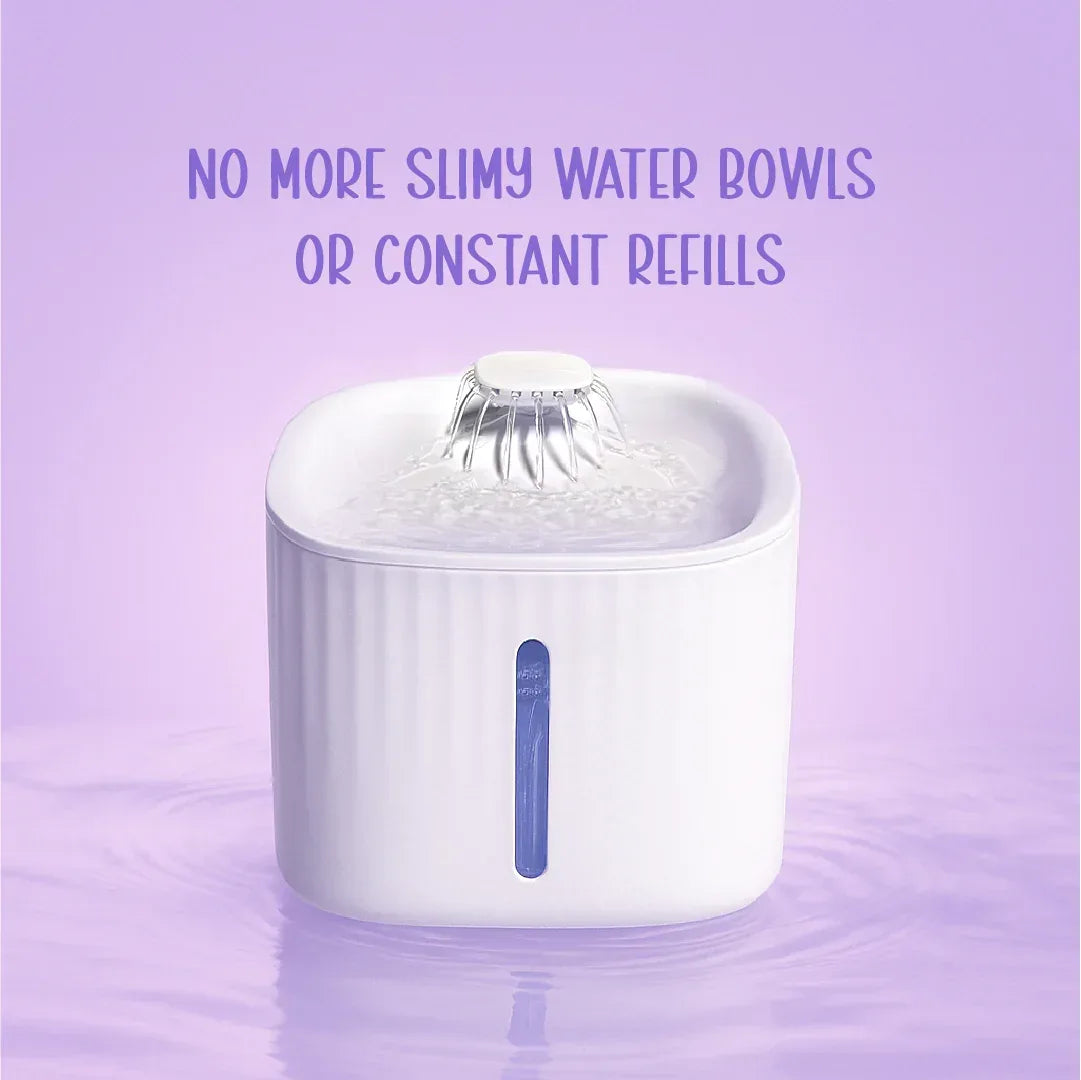 SmartSip Fountain for Cats | Continuous Water Flow | Electric Powered - Tilting Heads