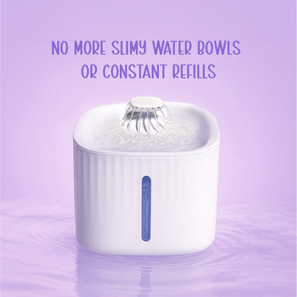 SmartSip Fountain for Cats | Continuous Water Flow | Electric Powered