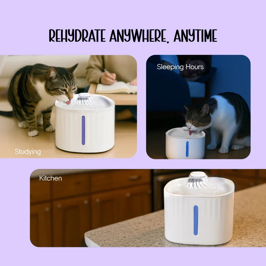 SmartSip Fountain for Cats | Continuous Water Flow | Electric Powered - Tilting Heads