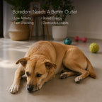 SnuffleBloom Mat | Treat-Hunting Snuffle Mat For Dogs