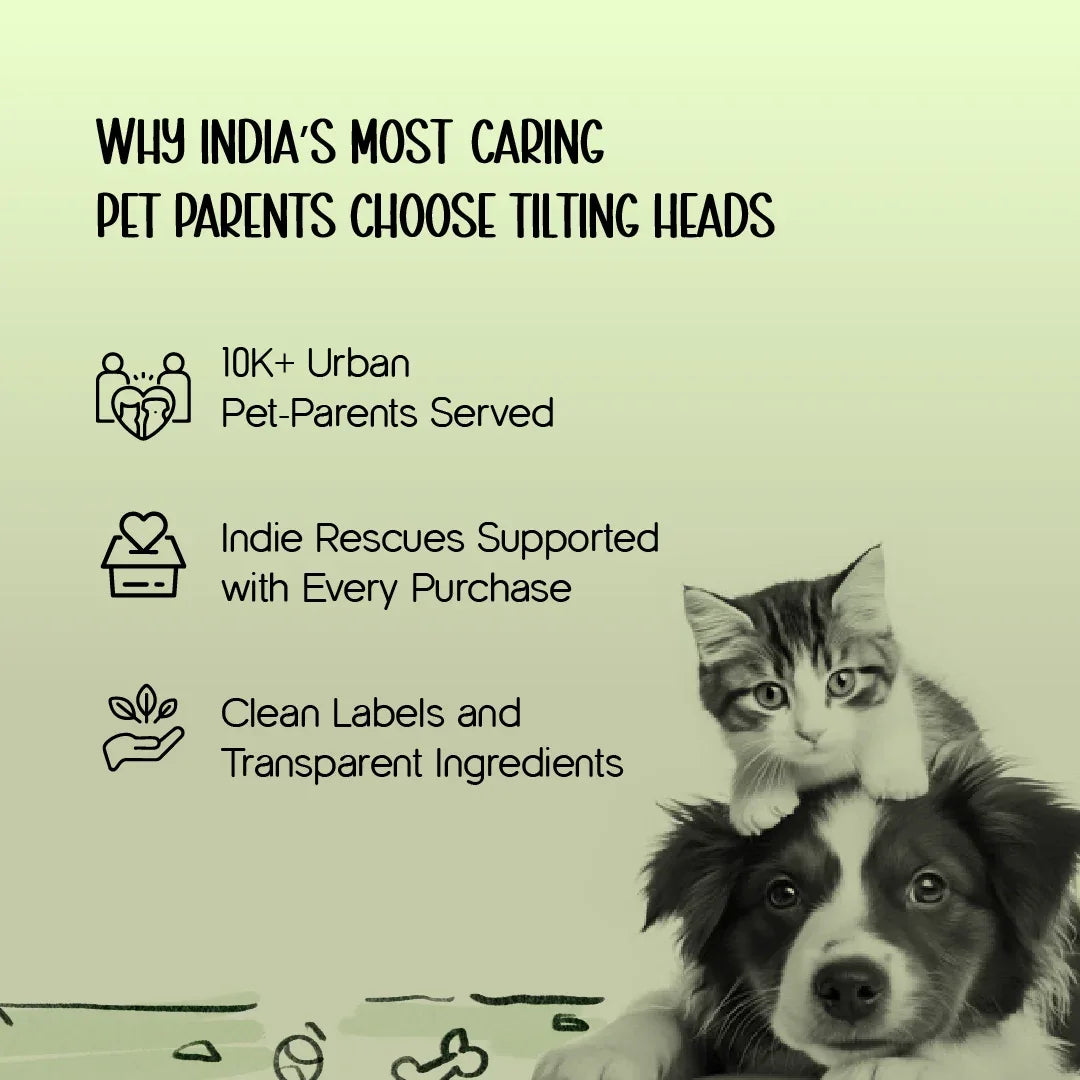 ArmorFit Harness – No-Pull Dog Harness for Strong, Safe Walks - Tilting Heads