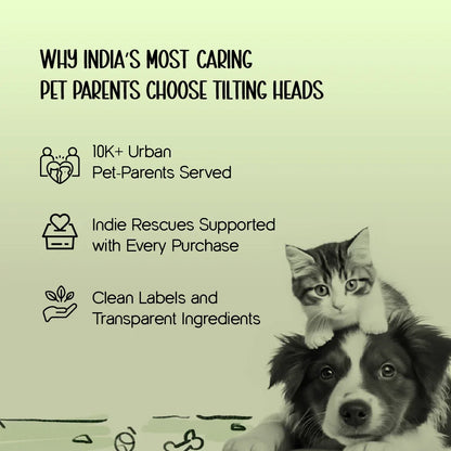 ArmorFit Harness – No-Pull Dog Harness for Strong, Safe Walks - Tilting Heads