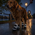 A golden retriever walking on a wet street at dusk wearing four black dog rain boots with reflective white stripes. A hand holding a leash is visible in the upper right, with streetlights and water in the background.