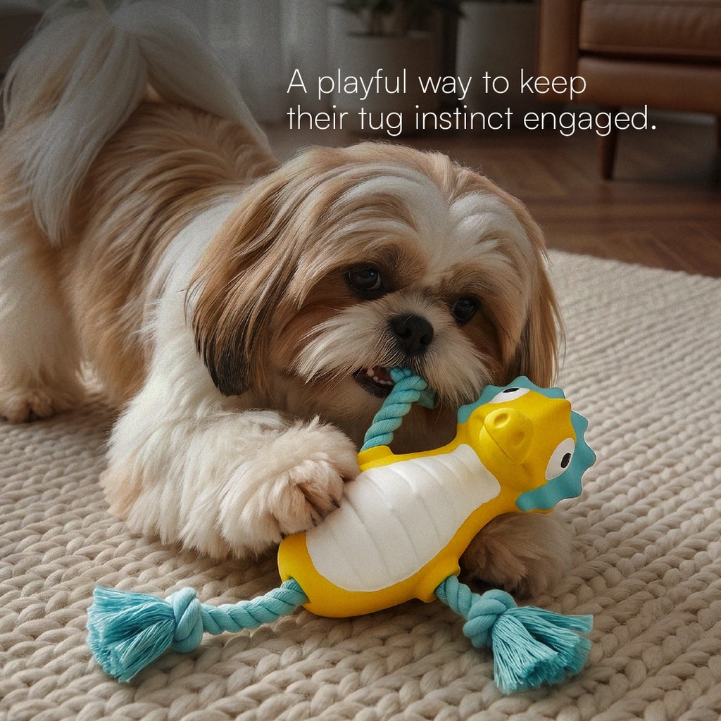 AquaSqueaky Toy