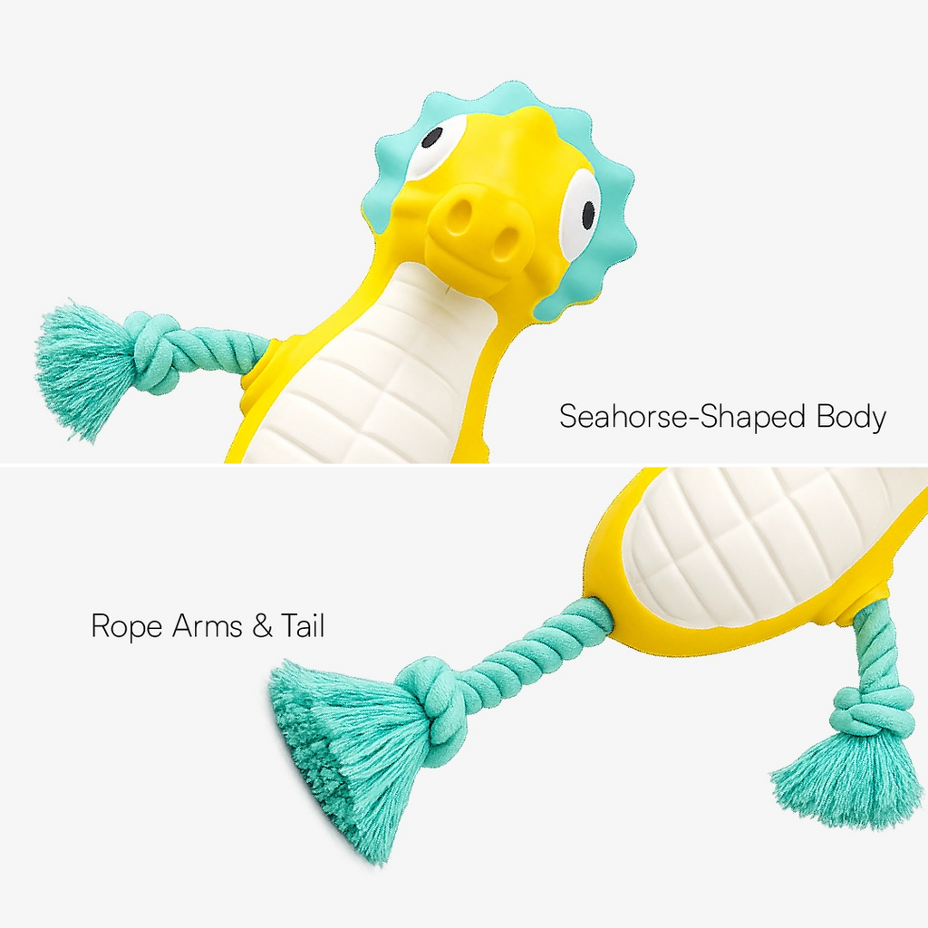 AquaSqueaky Toy