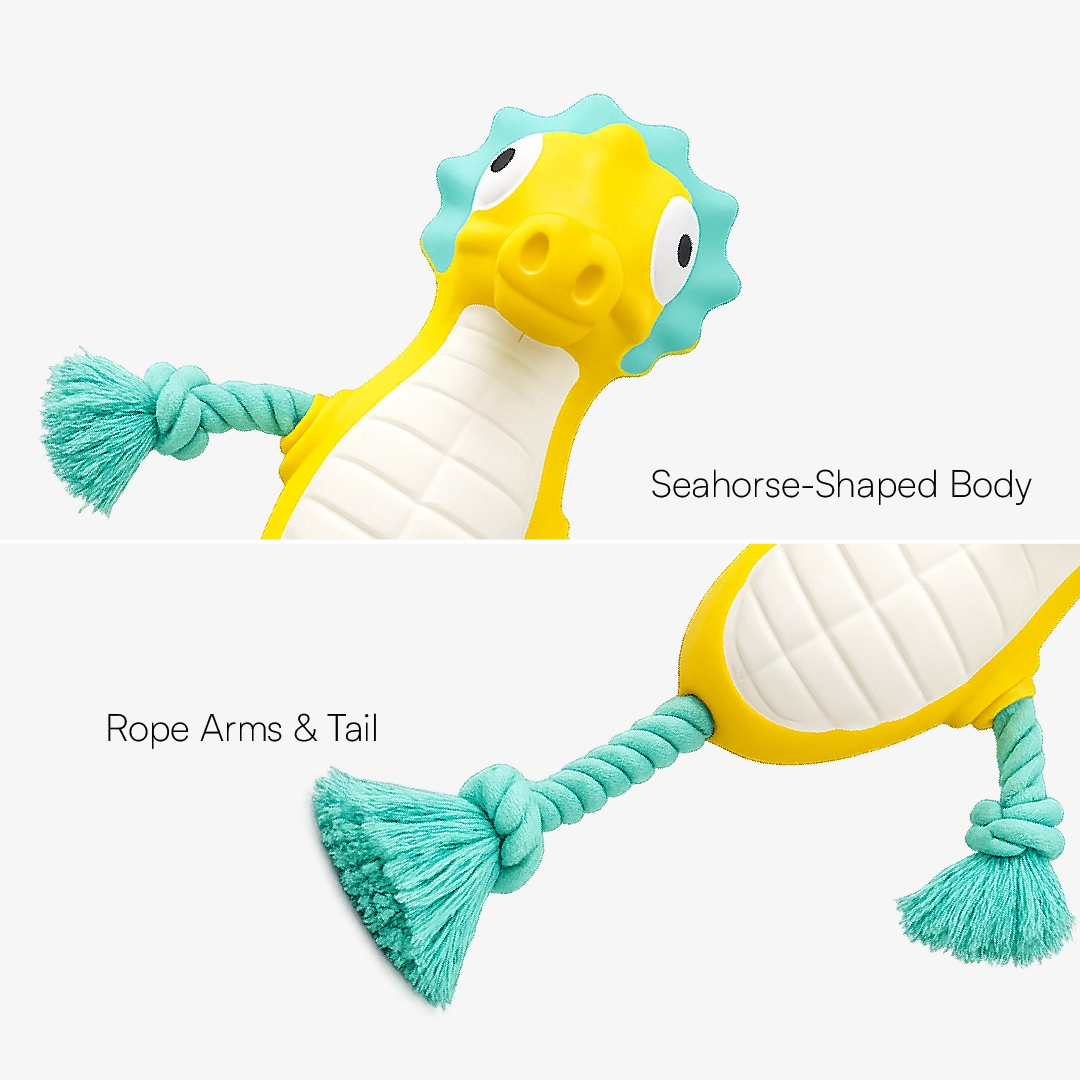 AquaSqueaky Toy