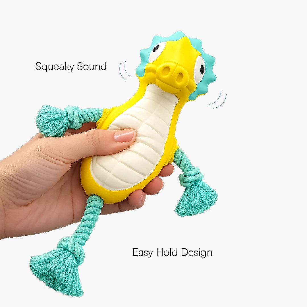 AquaSqueaky Toy