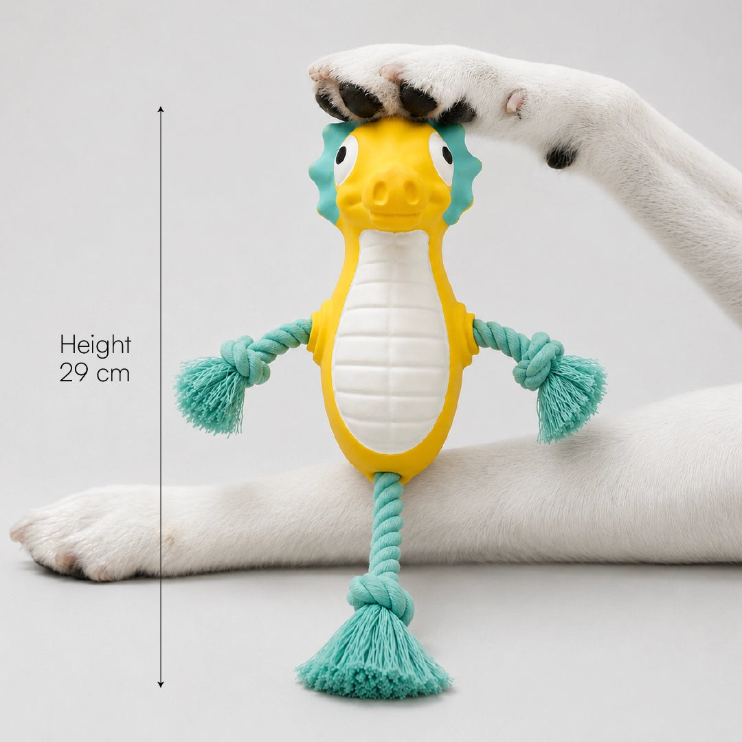 AquaSqueaky Toy