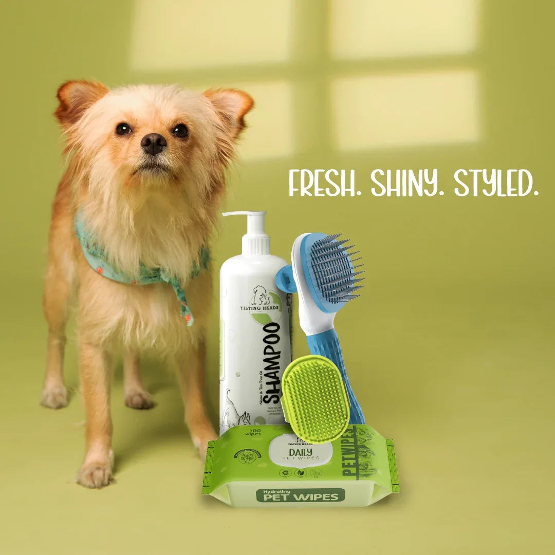 Stay In Style Set – Home Grooming Essentials by Tilting Heads - Tilting Heads