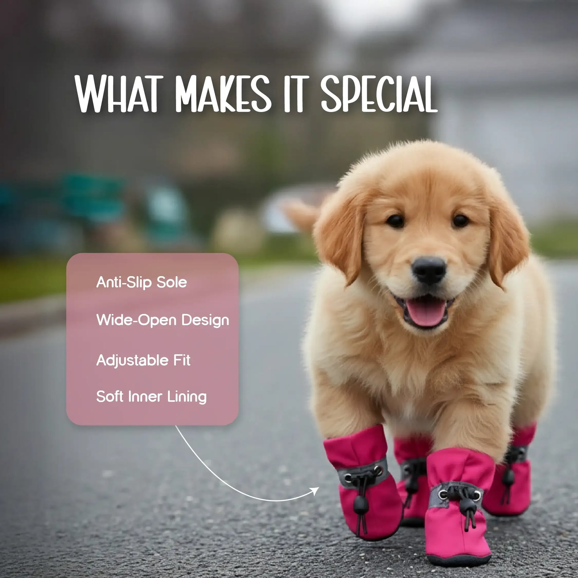 StepGuard Pet Boots – Soft Fit, Steady Grip & Daily Paw Protection - Tilting Heads