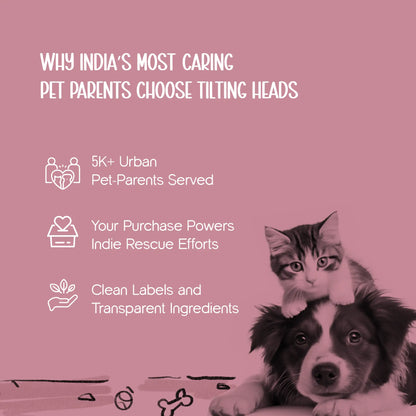 MajestiBed – Velvet Comfort for Peaceful Pet Sleep