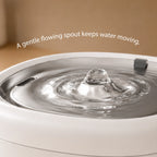 StillSpring Fountain | Pet Water Fountain for Cats & Small Dogs | Quiet Flow Hydration System