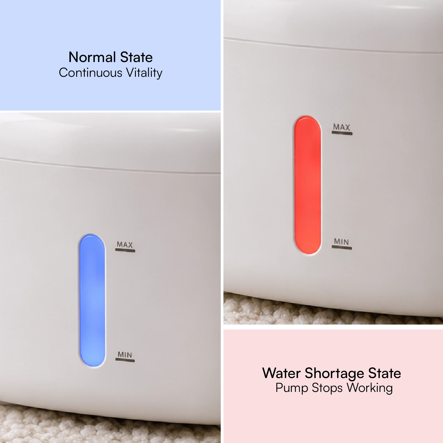 StillSpring Fountain | Pet Water Fountain for Cats & Small Dogs | Quiet Flow Hydration System